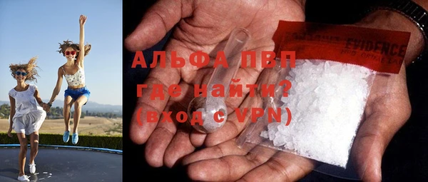 прущие грибы Володарск