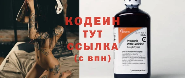 прущие грибы Володарск