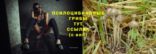 прущие грибы Володарск