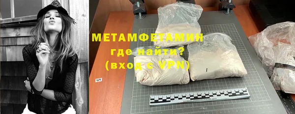 прущие грибы Володарск