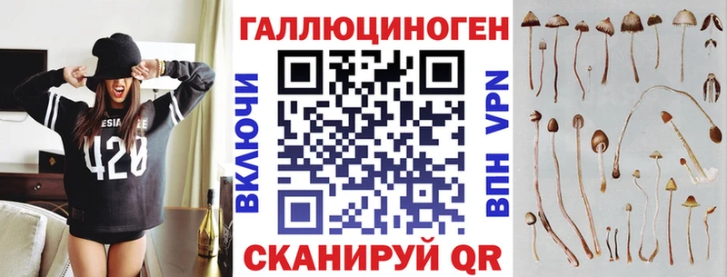 где купить   MEGA онион  Псилоцибиновые грибы мухоморы  Казань 